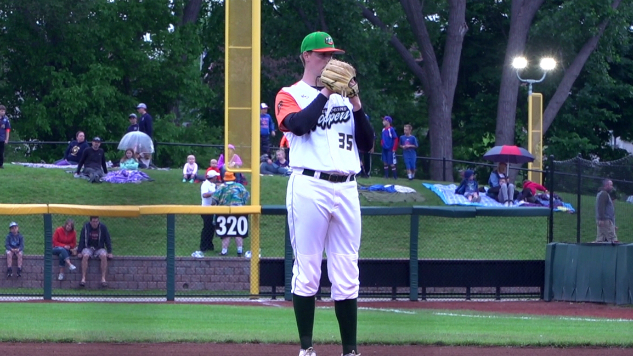 Michigan native and Eastside Diamond Hoppers pitcher Tyler...